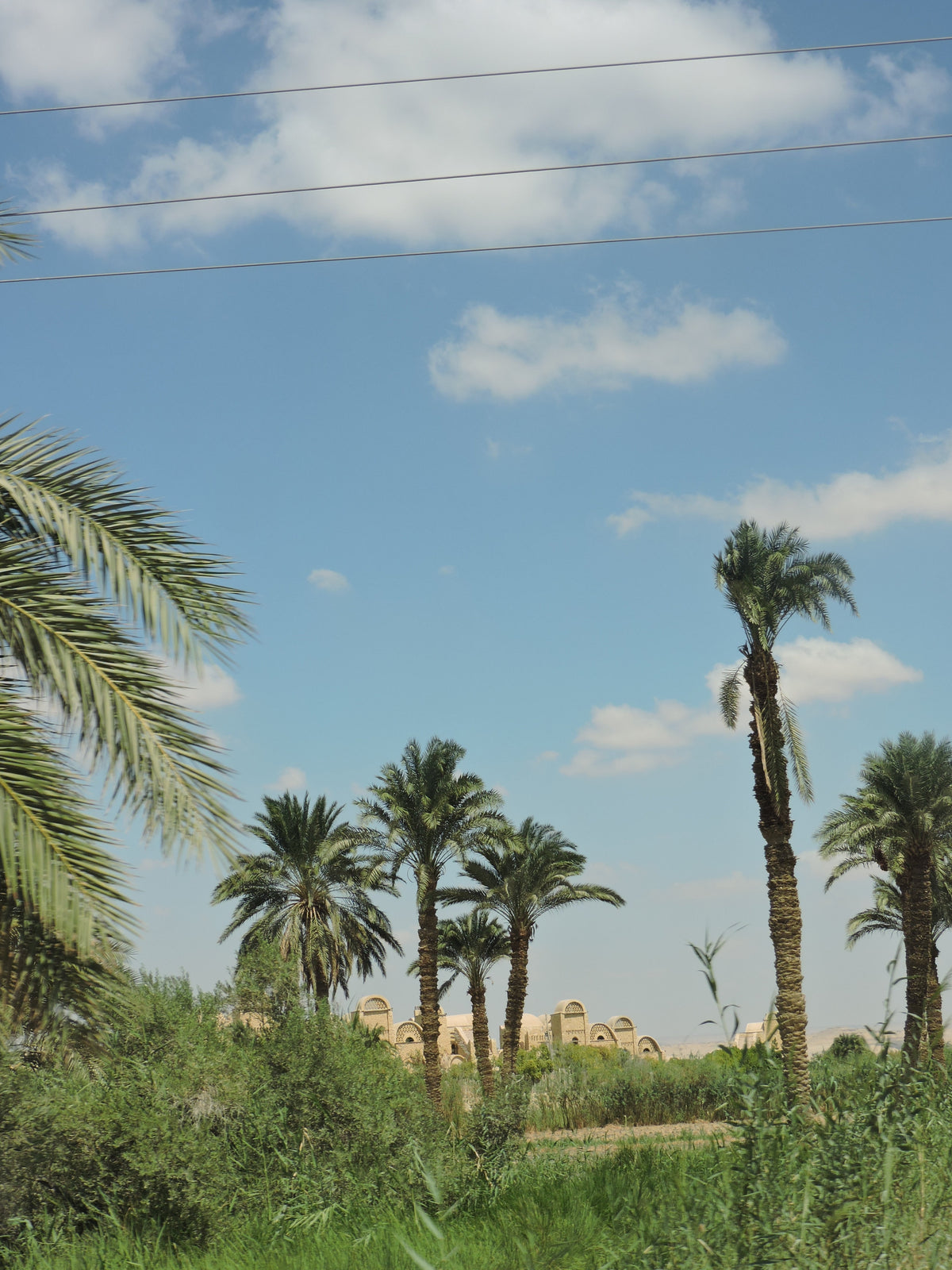 A Day in Tunis Village Pottery Festival in Fayoum