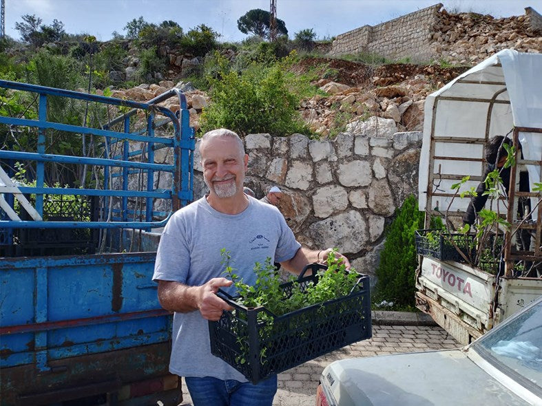 Ski, Plant trees & Distribute meals in Lebanon