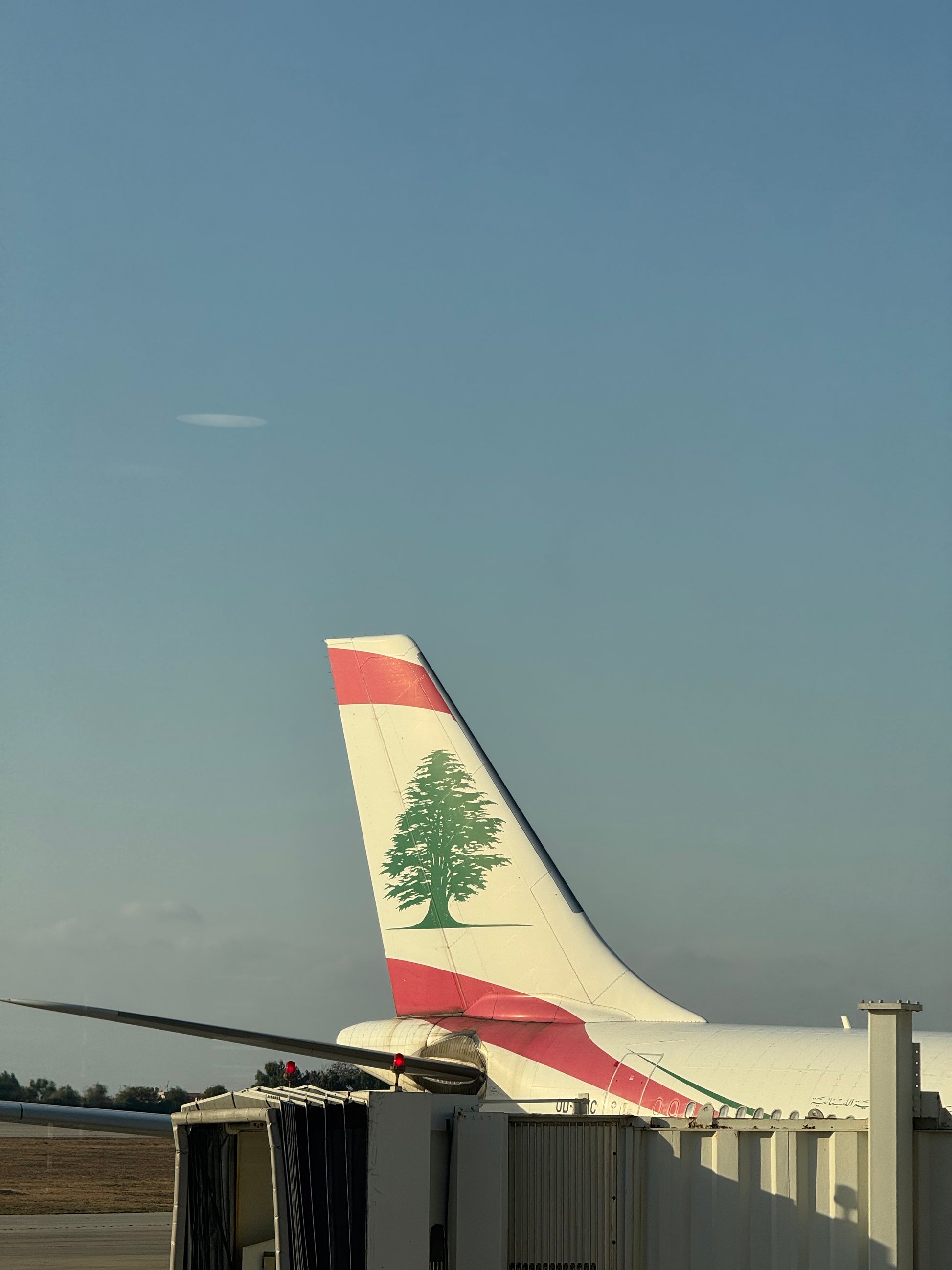 Ski, Plant trees & Distribute meals in Lebanon