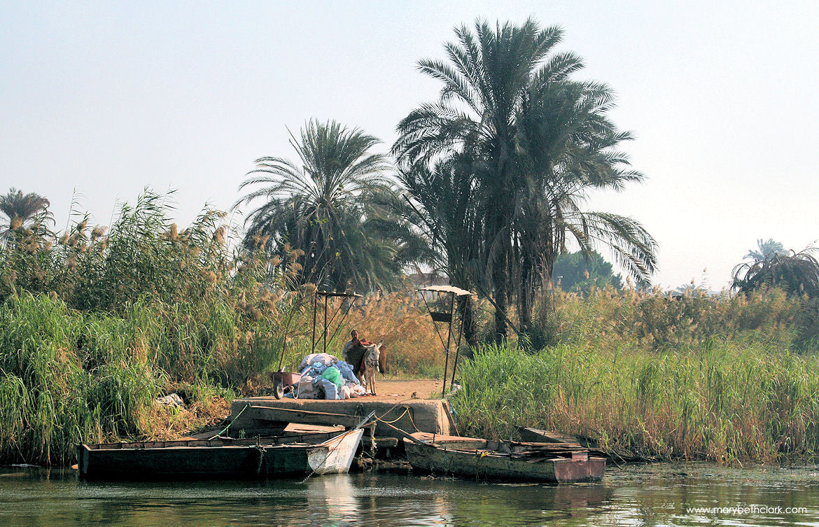 Dinner by the Nile: A Qursaya Island Experience